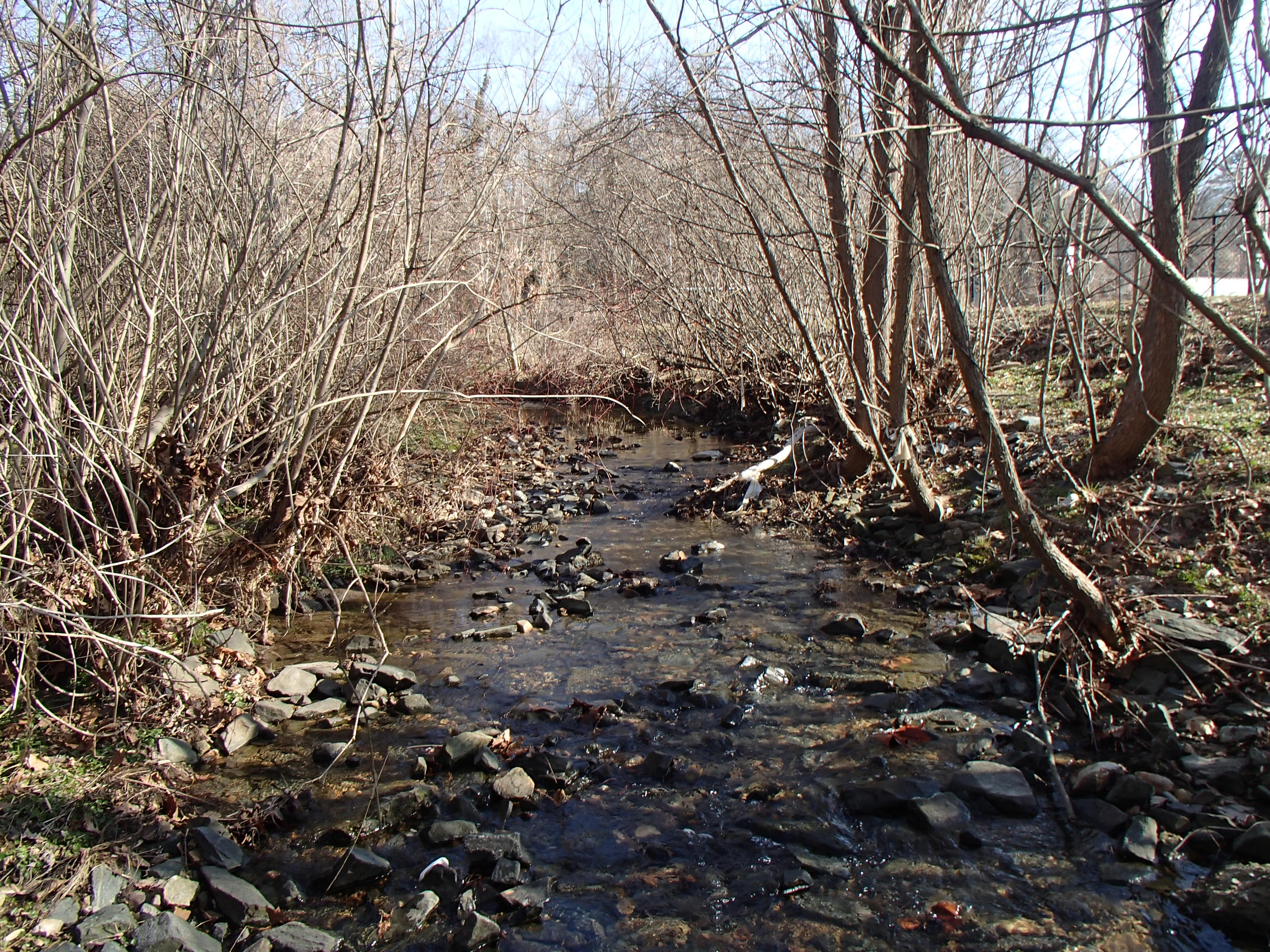 Field photo showing stream conditions at site JONE-102-R-2016_Midpoint upstream